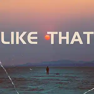 Picture for song 'Like That' by artist 'Dr. Berry'