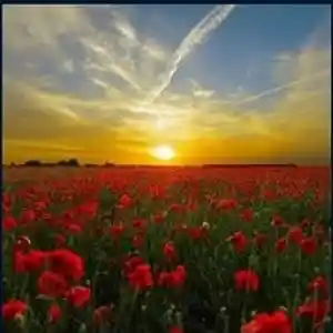 Picture for song 'Hope' by artist 'James and Kathy'