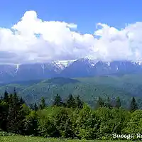 Picture for song 'Strings Work II in C Major' by artist 'JimRoss'