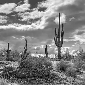 Picture for song 'EPILOGUE 137 bpm' by artist 'Le Black James on the Track'