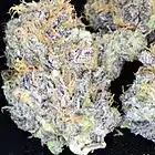 Picture for song 'SUPER GOOD.mp3' by artist 'LEGACEYBEATS'