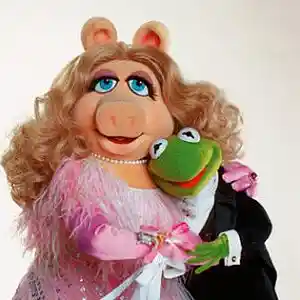 Picture for song 'If Frogs Had Wings' by artist 'Praise His Ways'