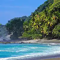 Picture for song 'Valerie' by artist 'Alana Joy Bailey'