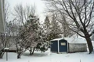 cover pic