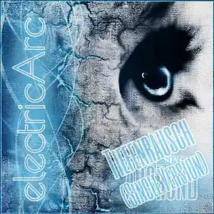 Picture for song 'Tiefenrausch (SingleVersion)' by artist 'electricArc'