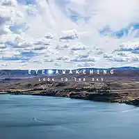Picture for song 'Look to the Sky' by artist 'Eye Awakening'