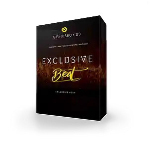 Picture for song 'exclusive_beat_ 10_bpm_156 -Exclusive #009' by artist 'Geniusboy.23 BEATS'
