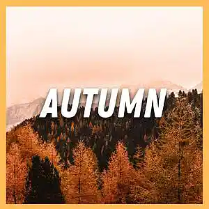 Picture for song 'Autumn' by artist 'Joe Gautrey'