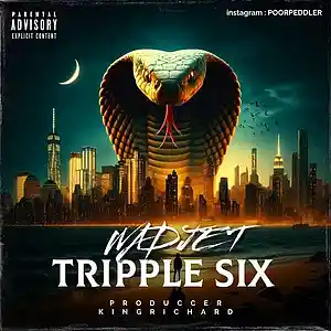 Picture for song 'MISTER' by artist 'Richard dwayne Brown'