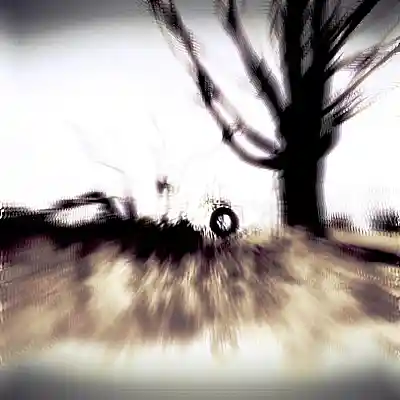 Picture for song 'Old Tire Swing' by artist 'Rory David'