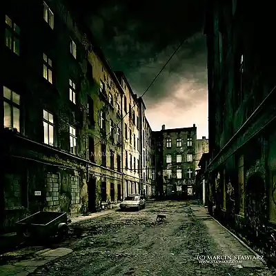 Picture for song 'Cold Jungle' by artist 'Saje Music'