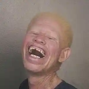 Picture for song 'Florida Prison' by artist 'WorlockBeats'