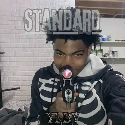 Picture for song 'Standard' by artist 'Ylbm'