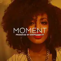Picture for song 'Moment (DOWNLOAD)' by artist 'AndreOnBeat'