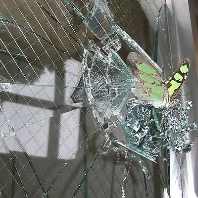 Picture for song 'breakthrough' by artist 'drama collection'