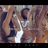 Picture for song ''U' - Happy Tropical Pop Dance Beat // Top40' by artist 'LiL Medic Beats'