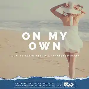 Picture for song 'On My Own' by artist 'Robin Wesley'