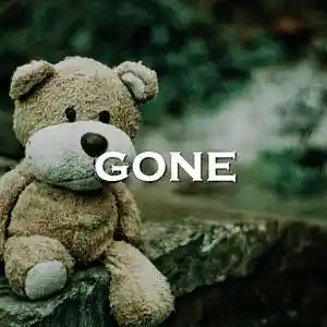 Picture for song 'Gone' by artist 'SadGlad Music'