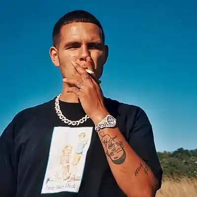 Picture for song 'SLOWTHAI X JPEGMAFIA ROCK TYPE BEAT' by artist 'tonyluvsyou'
