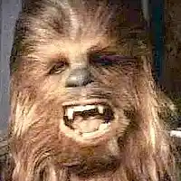 Picture for song 'Talking with Chewbacca' by artist 'Waxing The Sun'
