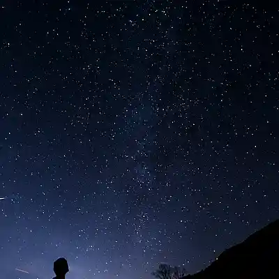 Picture for song 'BEAT REGGAETON JAZZ' by artist 'Young Blesss'