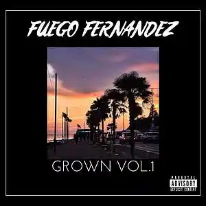 Picture for song 'FUEGO FERNANDEZ in my head' by artist 'FUEGO FERNANDEZ'