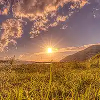 Picture for song 'My sun what did you see today?' by artist 'George Megas'