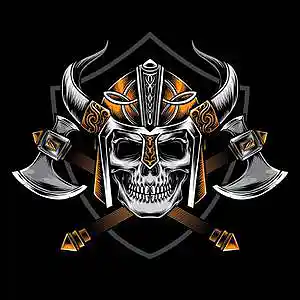 Picture for song 'VIKINGS' by artist 'HOLLYWOOD LEGEND PRODUCTIONS'