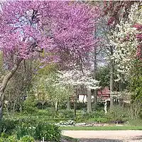 Picture for song 'Gol Umad' by artist 'Jazmahalis'