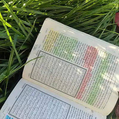 Picture for song '20240831_181051_chapter35_5_6_FS' by artist '786 scheint-Al'lahs Bande'