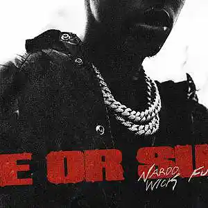 Picture for song '[FREE] Nardo wick x Pooh shiesty type beat - Coke' by artist 'Anpu'