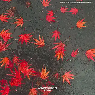 Picture for song 'Piano Type Beat - "Autumn" Rnb Type Beat' by artist 'COSMICSOUND BEATS'
