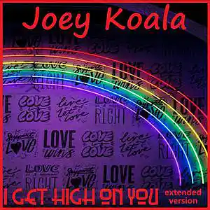 Picture for song 'I Get High On You (Extended Version)' by artist 'Joey Koala'