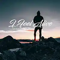 Picture for song 'I Feel Alive (w Hook)' by artist 'Popkanzlei'