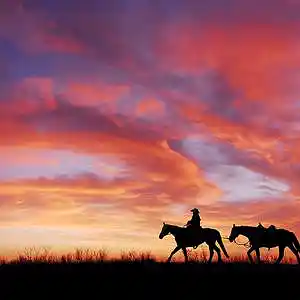 Picture for song 'I Shall Be Released (feat. Clare Steffen-Uke)' by artist 'Round The Globe'