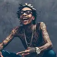 Picture for song 'WIZ KALIFA TYPE BEAT' by artist 'TONY FITTS'