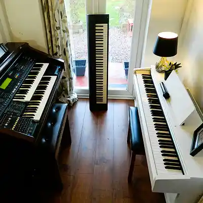 Picture for song 'Blue Danube - 1867 Exposition Universelle, Paris' by artist 'Tony William'