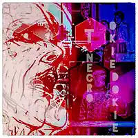 Picture for song 'Okie Dokie' by artist 'Turtle Necromancer'