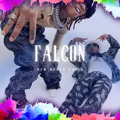 Picture for song 'Falcon' by artist 'Brandnew Beats'