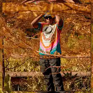 Picture for song 'Don Toliver Type Beat - "Cosmos"' by artist 'CloudPeopleFam'