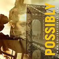 Picture for song 'Possibly' by artist 'Dras On The Beat'