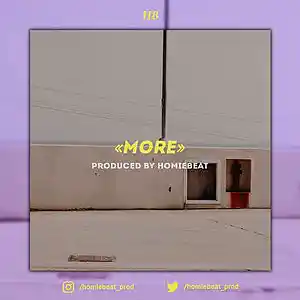 Picture for song 'More' by artist 'Homiebeat'