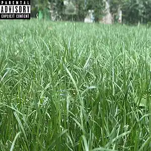 Picture for song 'chill [1]' by artist 'Lil vert'