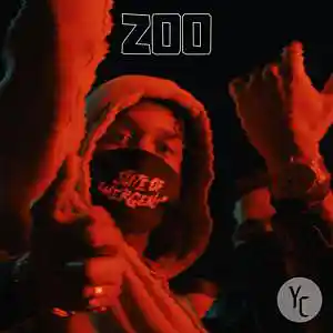 Picture for song 'Pop Smoke x Lil Tjay type beat - "ZOO"' by artist 'Young C Beatz'