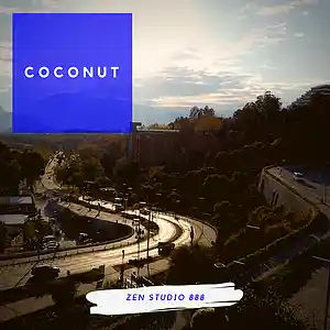 Picture for song 'Coconut' by artist 'Zen Studio 888'