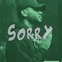 Picture for song 'Sorry' by artist 'BaysFynest Beatz'