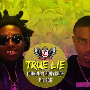 Picture for song 'TRUE LIE (Kodak Black Roddy Ricch type beat)' by artist 'Chorderline'