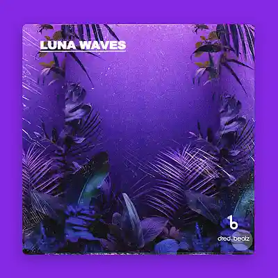 Picture for song '"LUNA WAVES" - BRENT FAIYAZ x SUMMER WALKER' by artist 'Dredbeat'