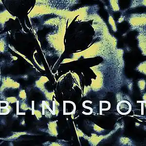Picture for song 'blindspot' by artist 'Florian Gleisberg'