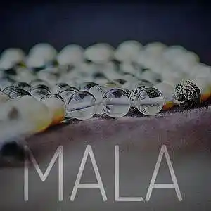 Picture for song 'MALA' by artist 'Florian Gleisberg'